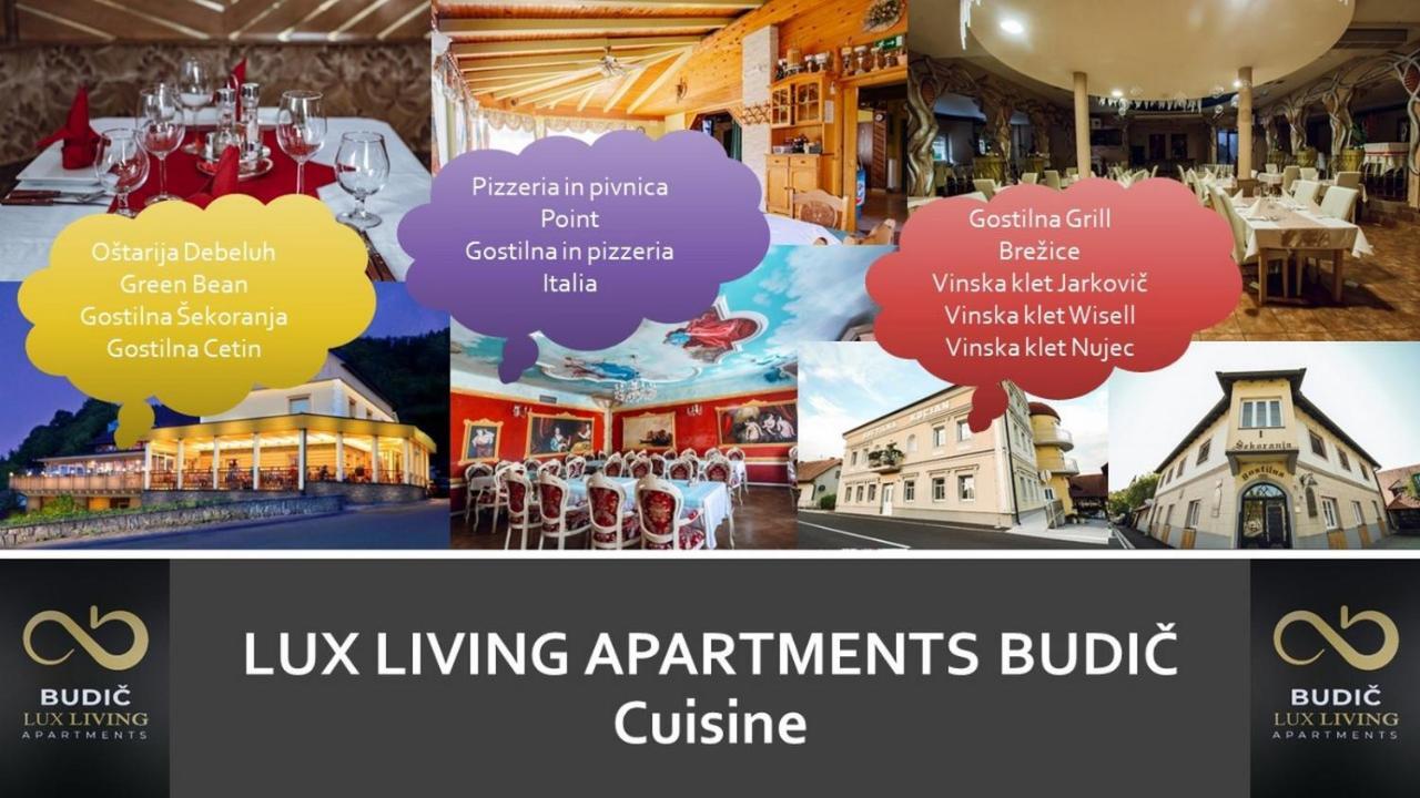 Lux Living Apartments Budic Near Terme Catez Brezice Exterior photo